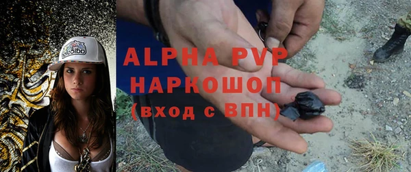 гидра Алексин