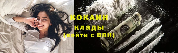 гидра Алексин