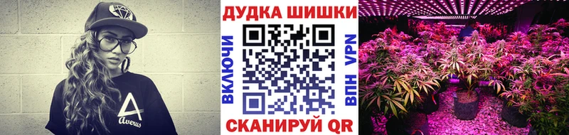 купить закладку  Электрогорск  Каннабис AK-47 